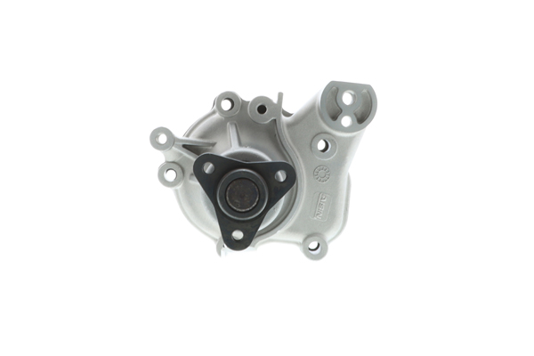 vandens siurblys - WPS-911 AISIN